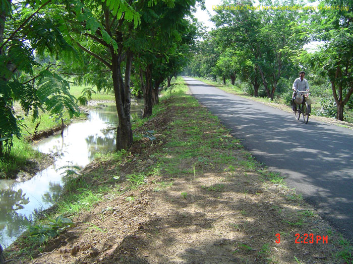 District-Betul, Road Name-Barbatpur-chopna-dehri5