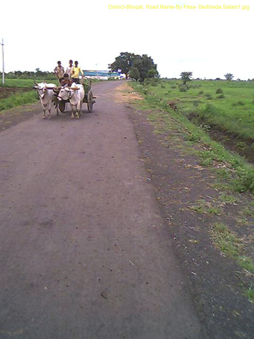 District-Bhopal, Road Name-By Pass- Barkheda Salam1