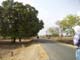 District-Satna, Package No-MP 3418, Road Name-Satna-Rewa Rd satari 3